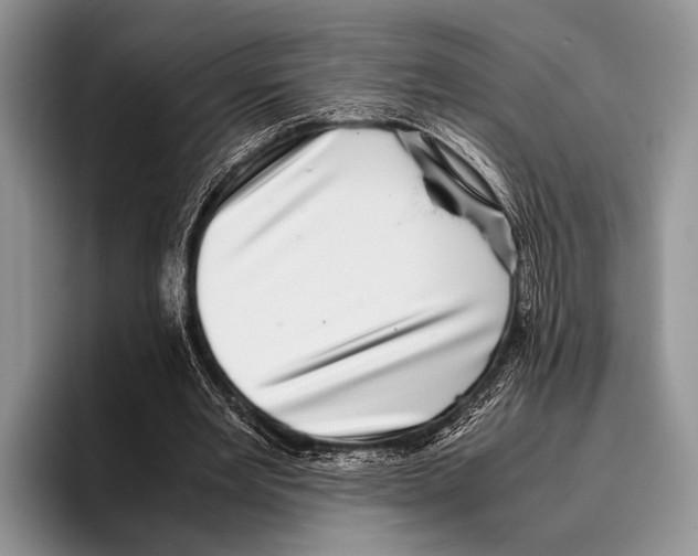 X0000095950485200802081300