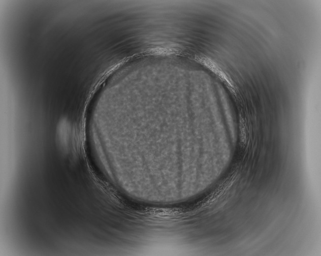 X0000095950486200802081300