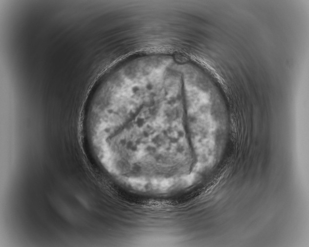 X0000095950487200802081300