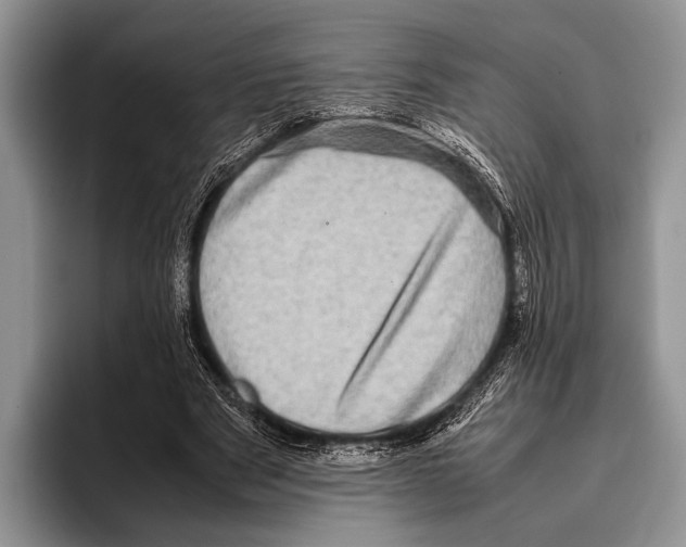 X0000095950489200802081300