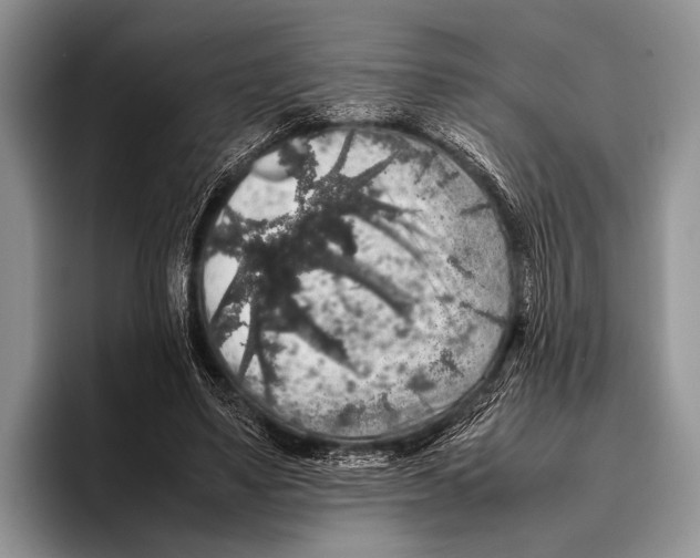 X0000095950491200802081300