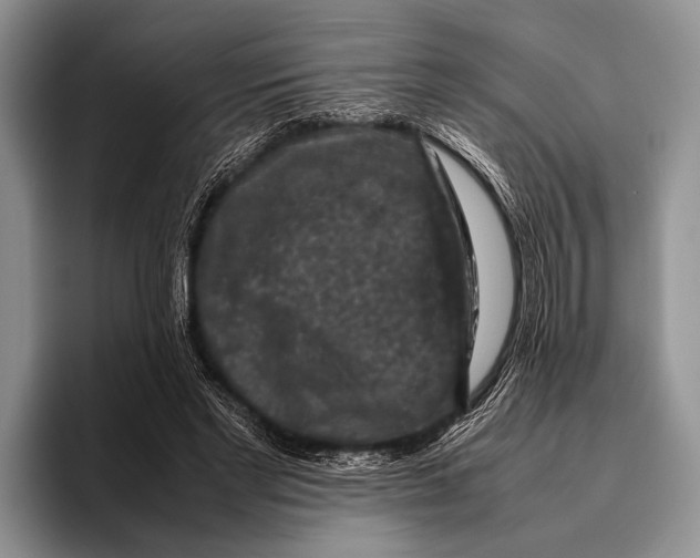 X0000095950493200802081300