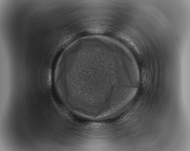 X0000095950494200802081300