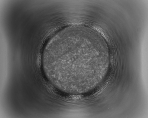 X0000095950495200802081300