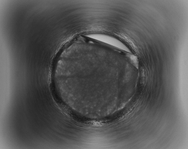 X0000095950496200802081300