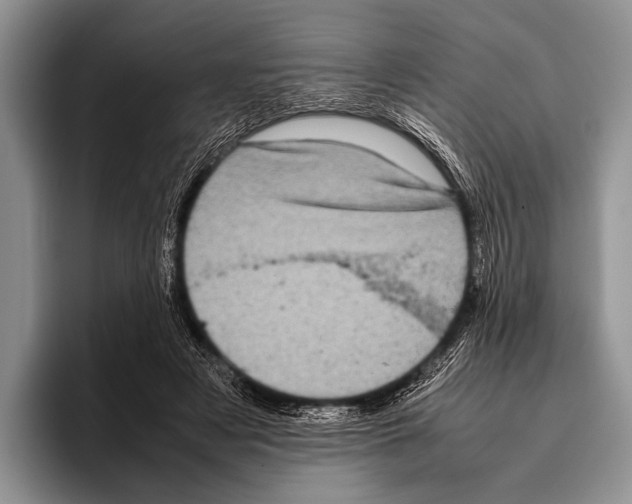 X0000095950497200802081300