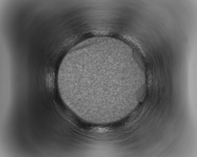 X0000095950498200802081300