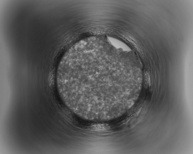 X0000095950499200802081300