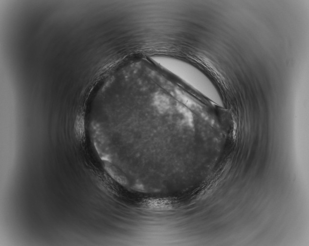 X0000095950500200802081300