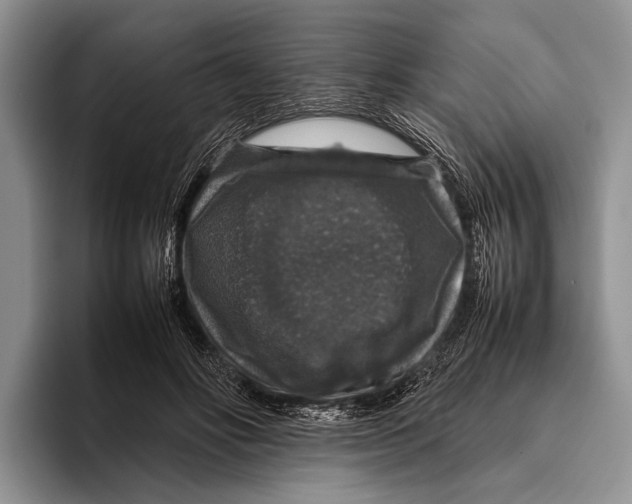 X0000095950502200802081300