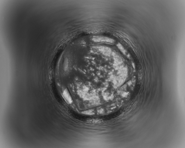 X0000095950503200802081300