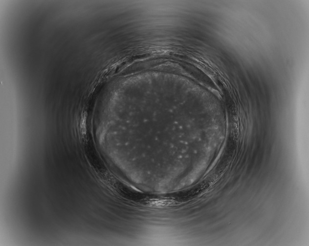 X0000095950504200802081300