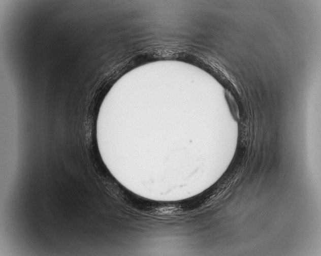 X0000095950505200802081300