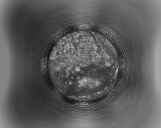 X0000095950507200802081300