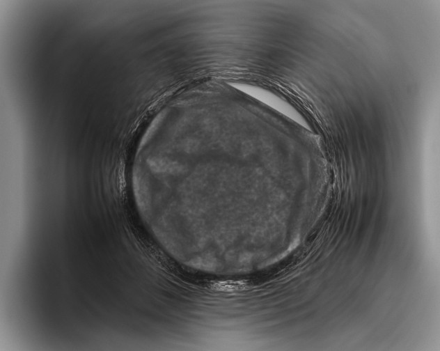 X0000095950508200802081300