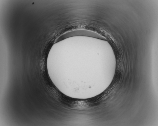 X0000095950509200802081300