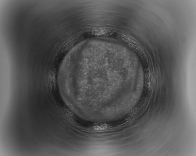 X0000095950510200802081300