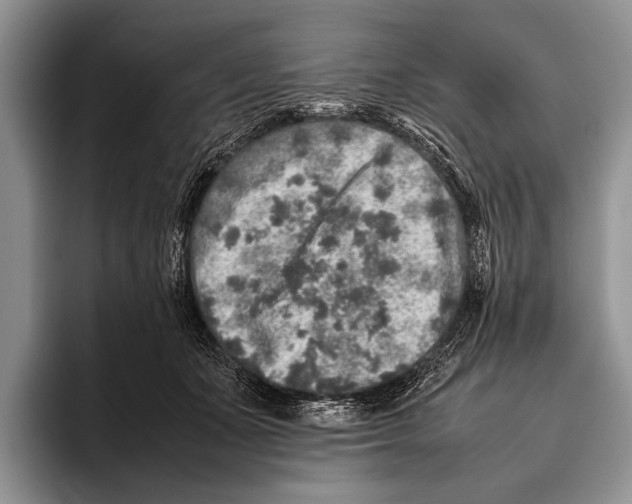 X0000095950511200802081300