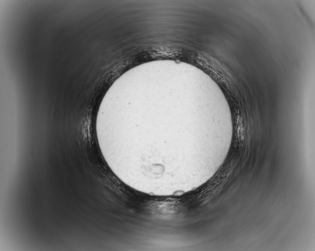 X0000095950514200802081300