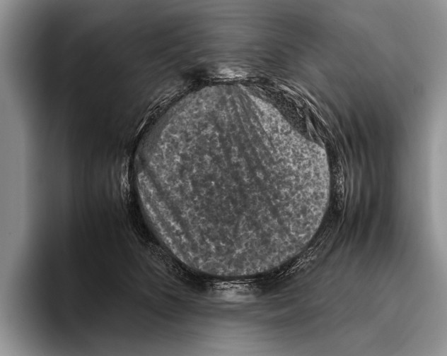 X0000095950516200802081300