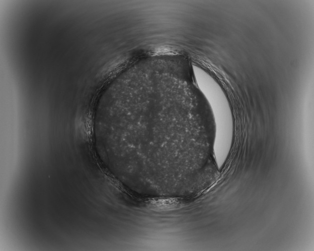 X0000095950517200802081300