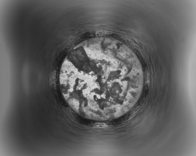 X0000095950519200802081300