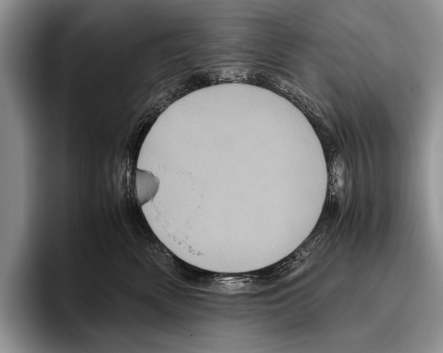 X0000095950522200802081300