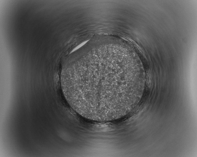 X0000095950523200802081300