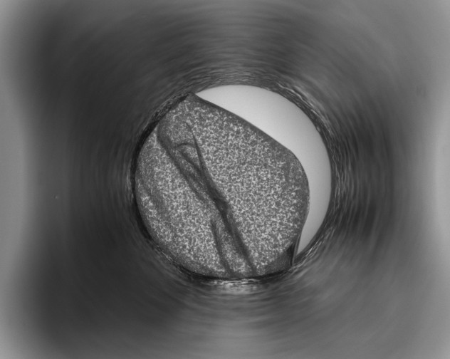 X0000095950524200802081300