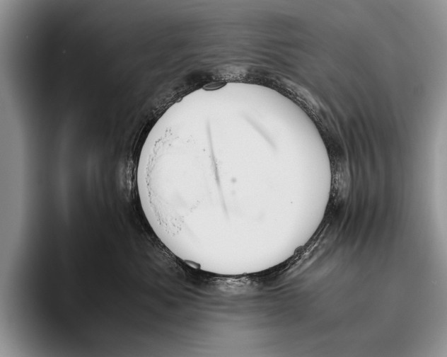 X0000095950525200802081300