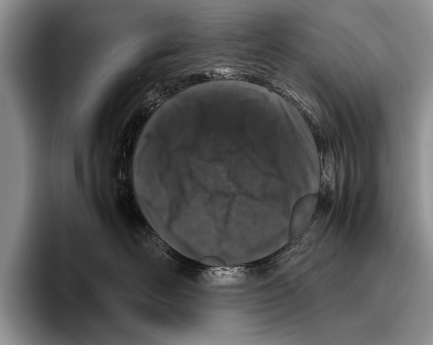 X0000095950526200802081300