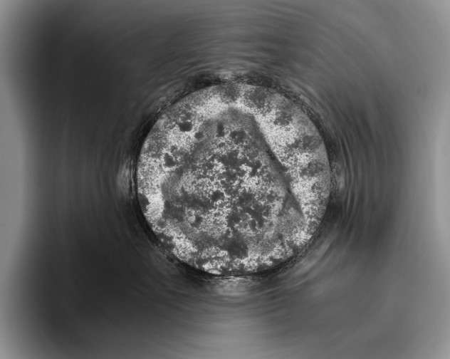 X0000095950527200802081300