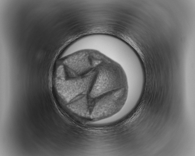 X0000095950530200802081259