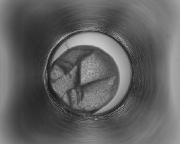 X0000095950532200802081259