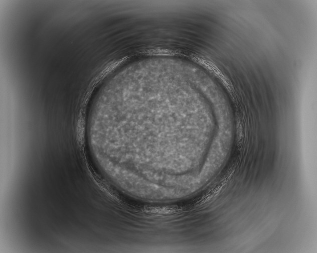 X0000095950533200802081259