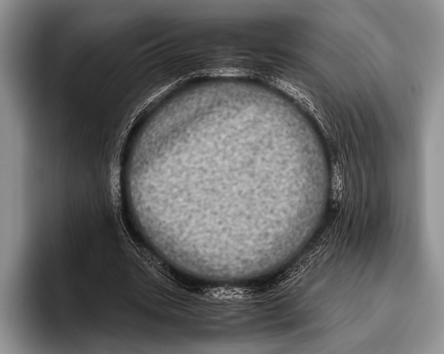 X0000095950535200802081259