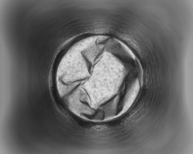 X0000095950536200802081259