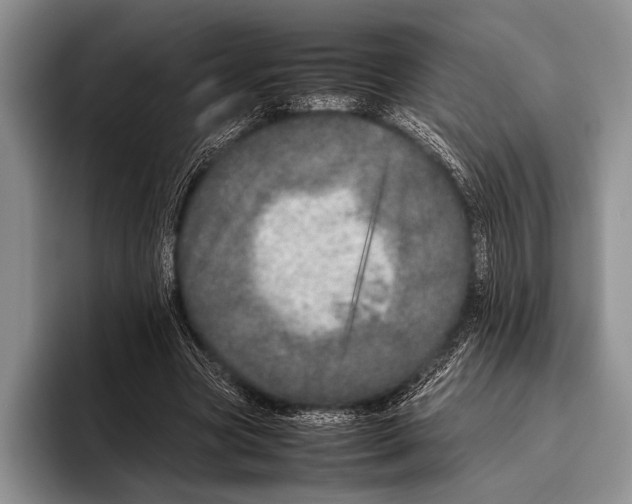 X0000095950537200802081259