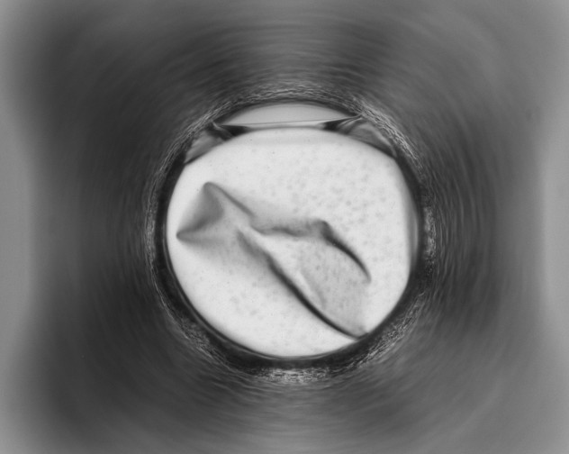 X0000095950538200802081259