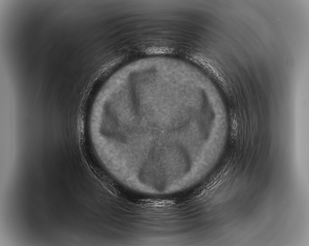 X0000095950539200802081259