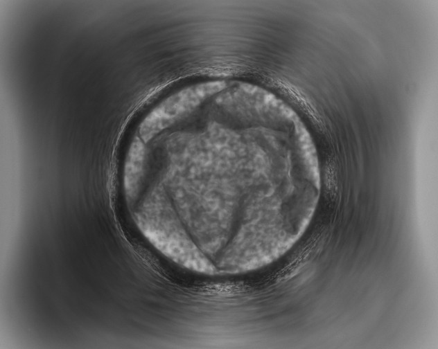 X0000095950540200802081259