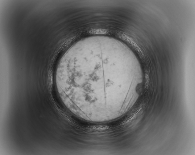 X0000095950541200802081259