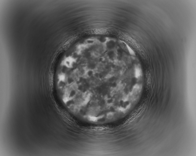 X0000095950542200802081259