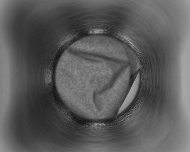 X0000095950543200802081259