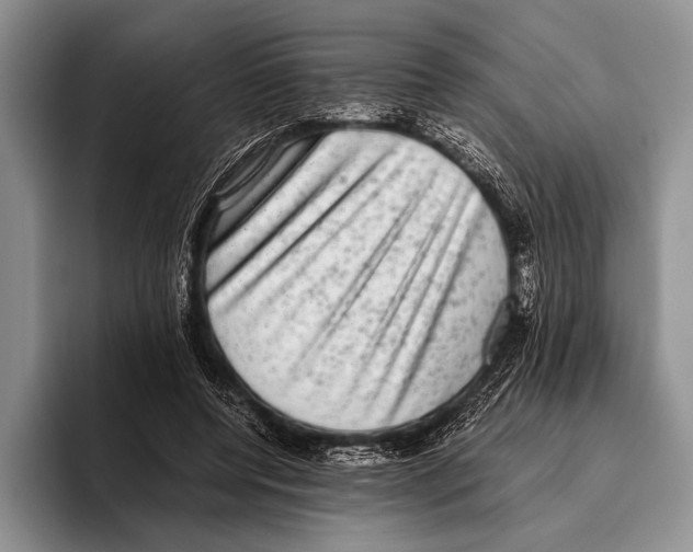 X0000095950544200802081259