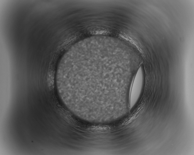 X0000095950545200802081259