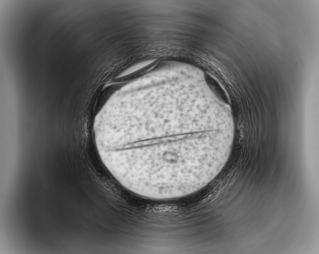 X0000095950546200802081259