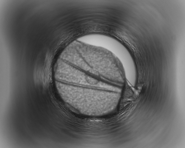 X0000095950547200802081259