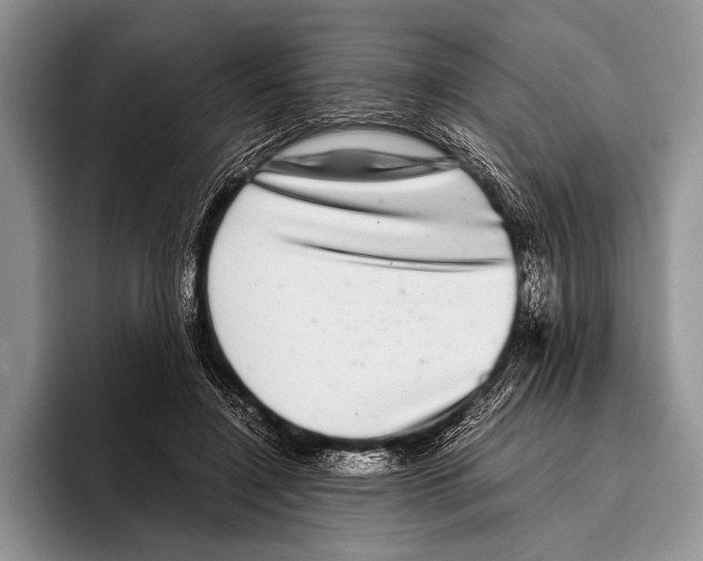 X0000095950548200802081259