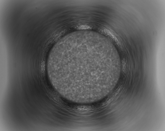 X0000095950549200802081259